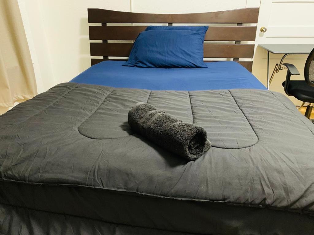 San Francisco Zen Home エクステリア 写真